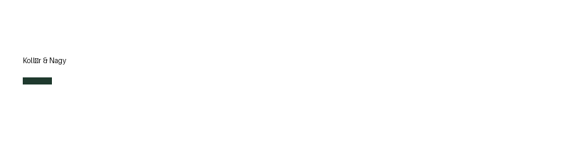Kollár & Nagy logo